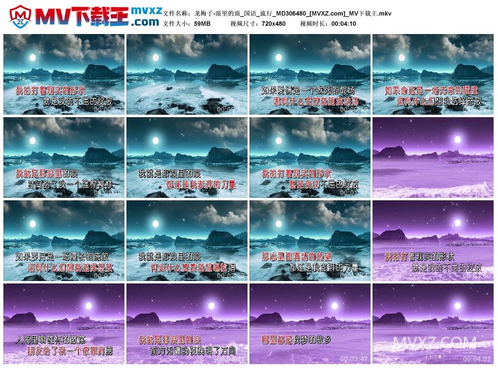 龙梅子-浪里的浪_国语_流行_MD306480